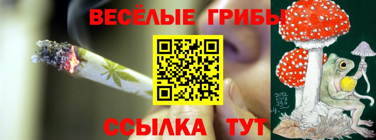 Галлюциногенные грибы Magic Shrooms  Вход с VPN  Красноармейск 